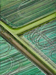 Alexander Ernst Voigt - \