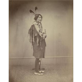 Alexander Gardner - Medicine Bull