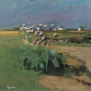 Alexander Goudie - Onions gone to seed in Brittany.