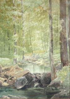 Alexander Helwig Wyant - Forest brook