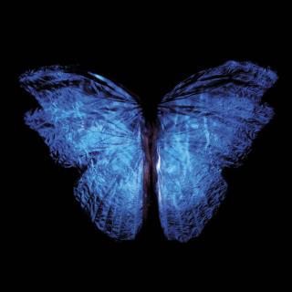 Alexander James - Untitled, Plate 0913-010, 2014