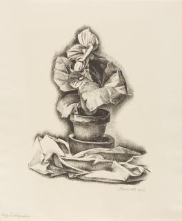 Alexander Kanoldt - Stillleben: Begonie.