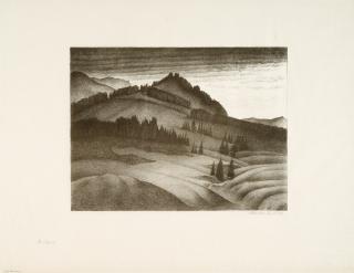 Alexander Kanoldt - Winkelmoos