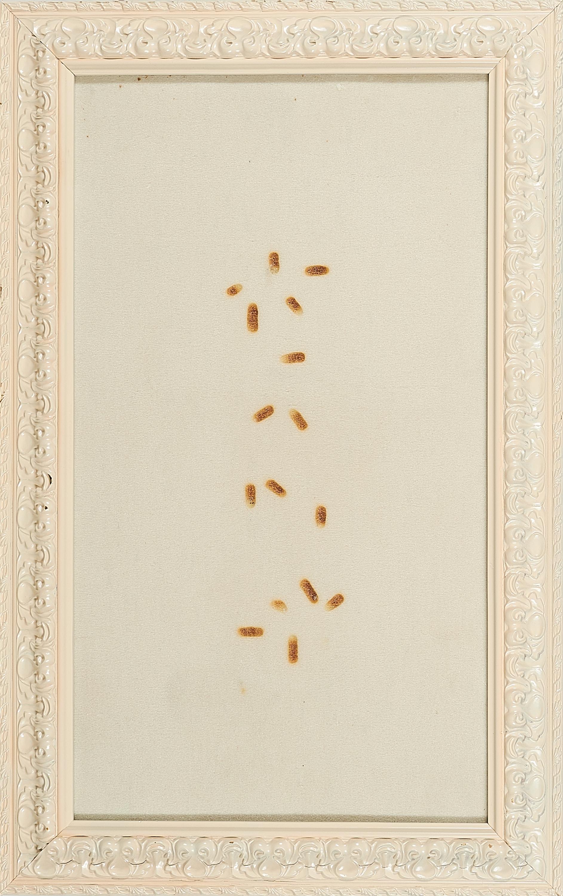 Alexander Kassing - Reisbauer mit Ernteausfall