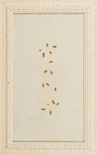 Alexander Kassing - Reisbauer mit Ernteausfall