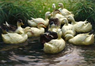 Alexander Koester - Am Ufer