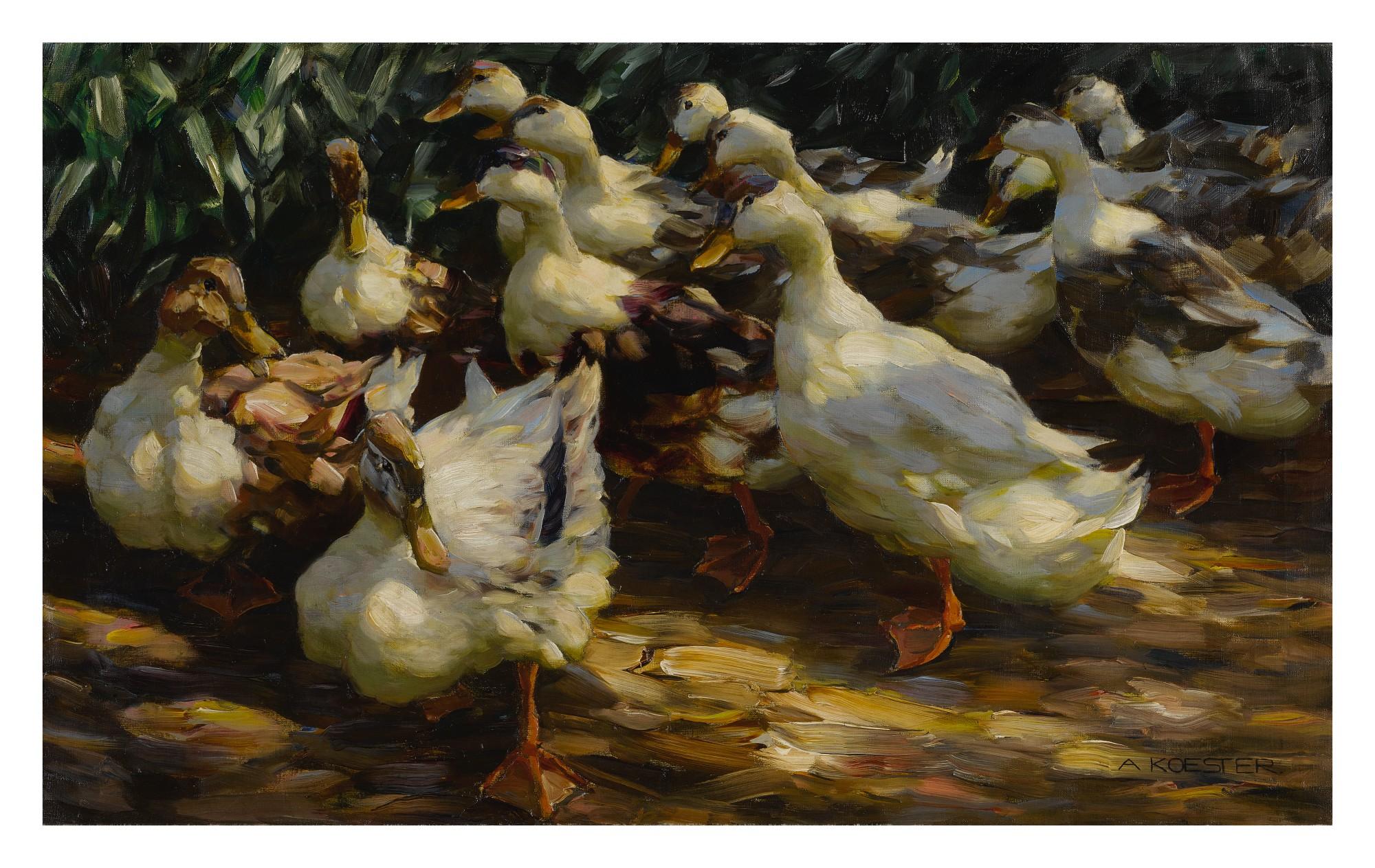 Alexander Koester - Ducks In Sunlight