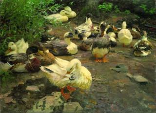 Alexander Koester - Enten am Lagerplatz