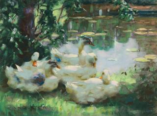 Alexander Koester - Enten am Seerosenteich.