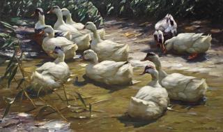 Alexander Koester - Enten Am Weiher: Ducks On The Riverbank