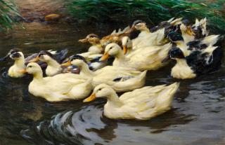 Alexander Koester - Enten im Teich