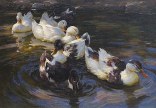 Alexander Koester - Enten in Morgensonne (Enten in blauem Wasser)