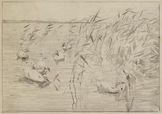 Alexander Koester - Fünf Enten am Schilfufer