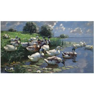 Alexander Koester - German Enten Am Seeufer (Ducks On A Lake Shore)
