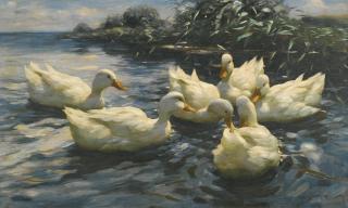 Alexander Koester - German sechs Enten (Six Ducks)
