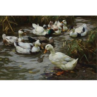 Alexander Koester - German The Duck Pond
