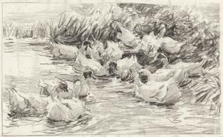 Alexander Koester - Große Entengruppe am Ufer