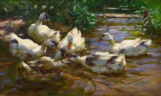 Alexander Koester - Sechs Enten in blauem Schilfwasser
