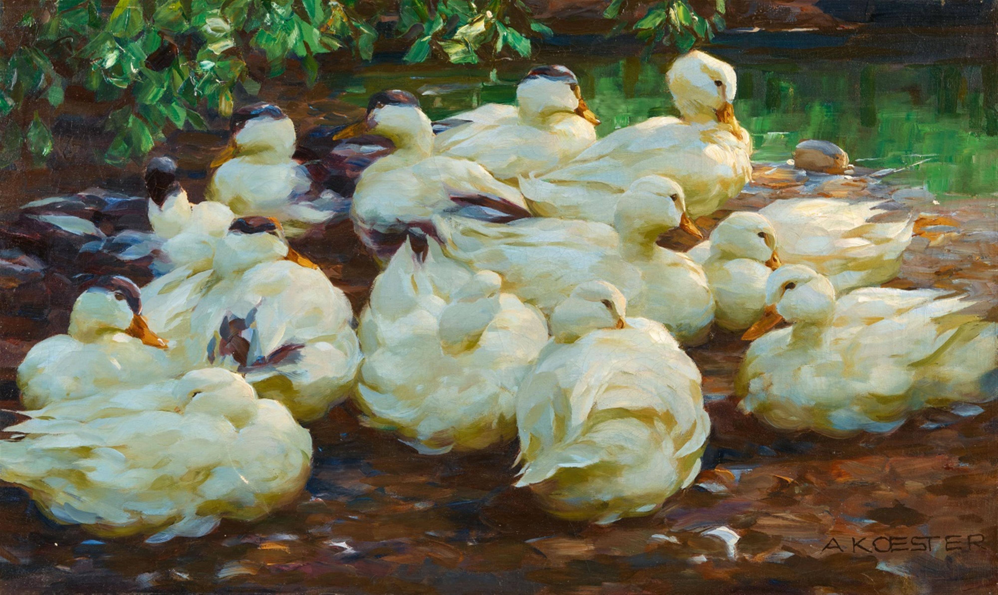 Alexander Koester - Weiße Enten am Teichufer