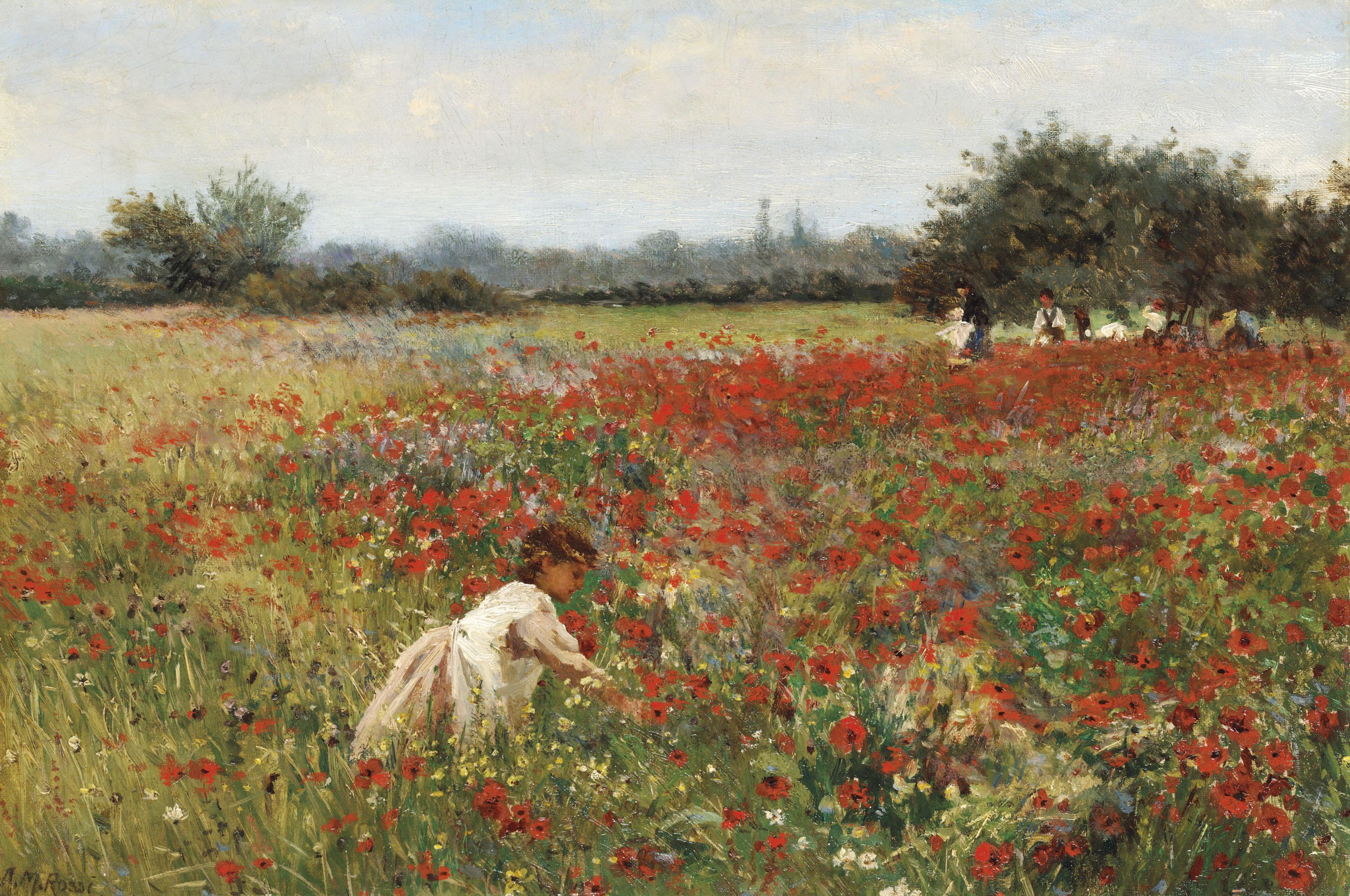 Alexander M. Rossi - Gathering poppies