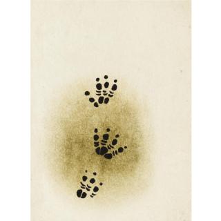 Alexander Mackenzie - Paw Prints