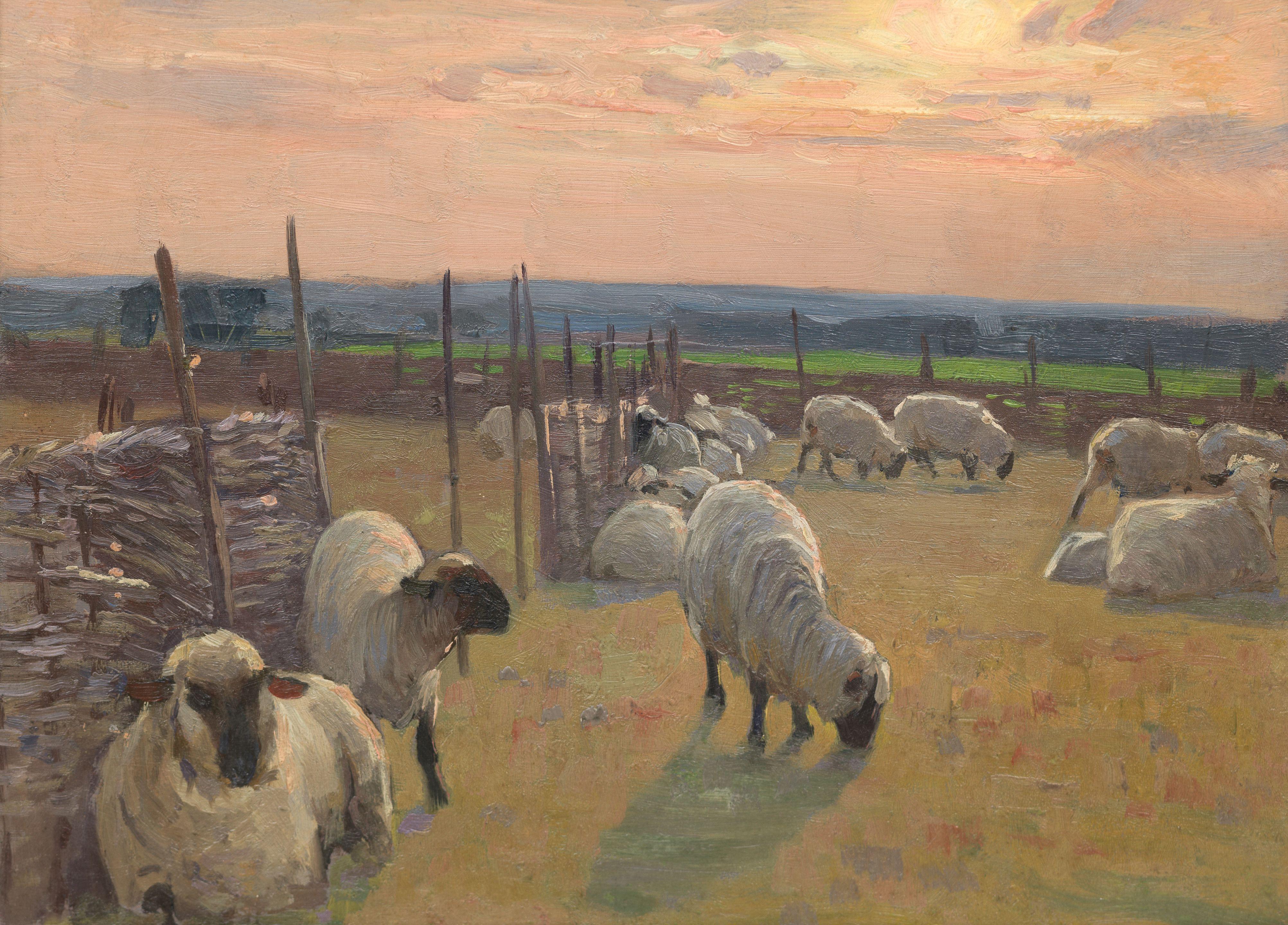 Alexander Mann - Sheep in a fold at sunset