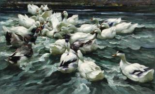 Alexander Max Koester - Ducks in a Pond