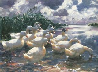 Alexander Max Koester - Ducks on a Pond
