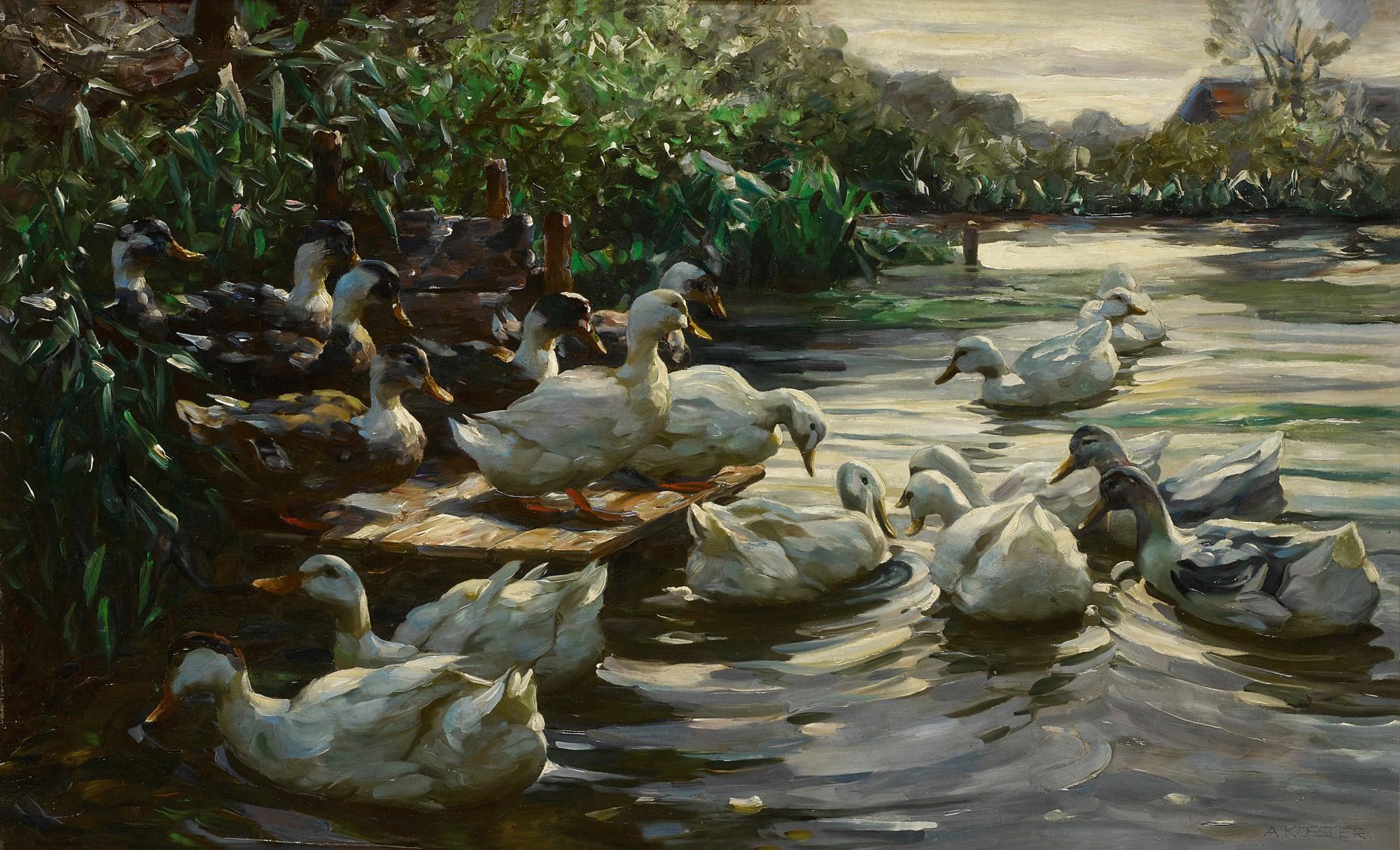 Alexander Max Koester - Ducks on a Sunny Morning