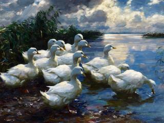 Alexander Max Koester - Enten am Ufer des Bodensees