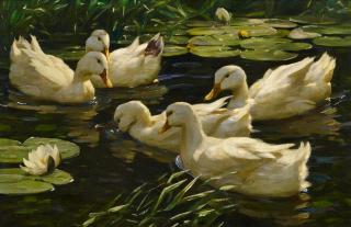 Alexander Max Koester - Enten im Seerosenteich