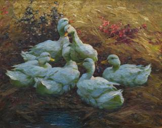 Alexander Max Koester - \