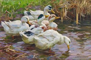 Alexander Max Koester - \