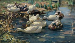 Alexander Max Koester - Weise Enten am Seeufer (White ducks on the lakeshore)