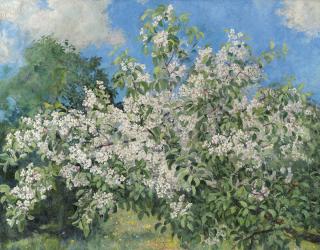 Alexander Mikhailovich Gerasimov - Apple Tree In Bloom