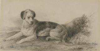 Alexander Orlovsky - Reclining dog; and Circus scene