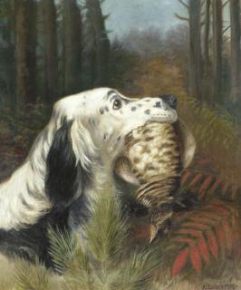 Alexander Pope - An English Setter With A Partridge