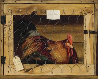 Alexander Pope - First Prize