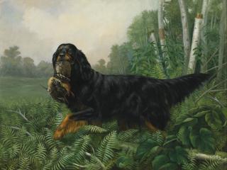 Alexander Pope - Gordon Setter In A Landscape