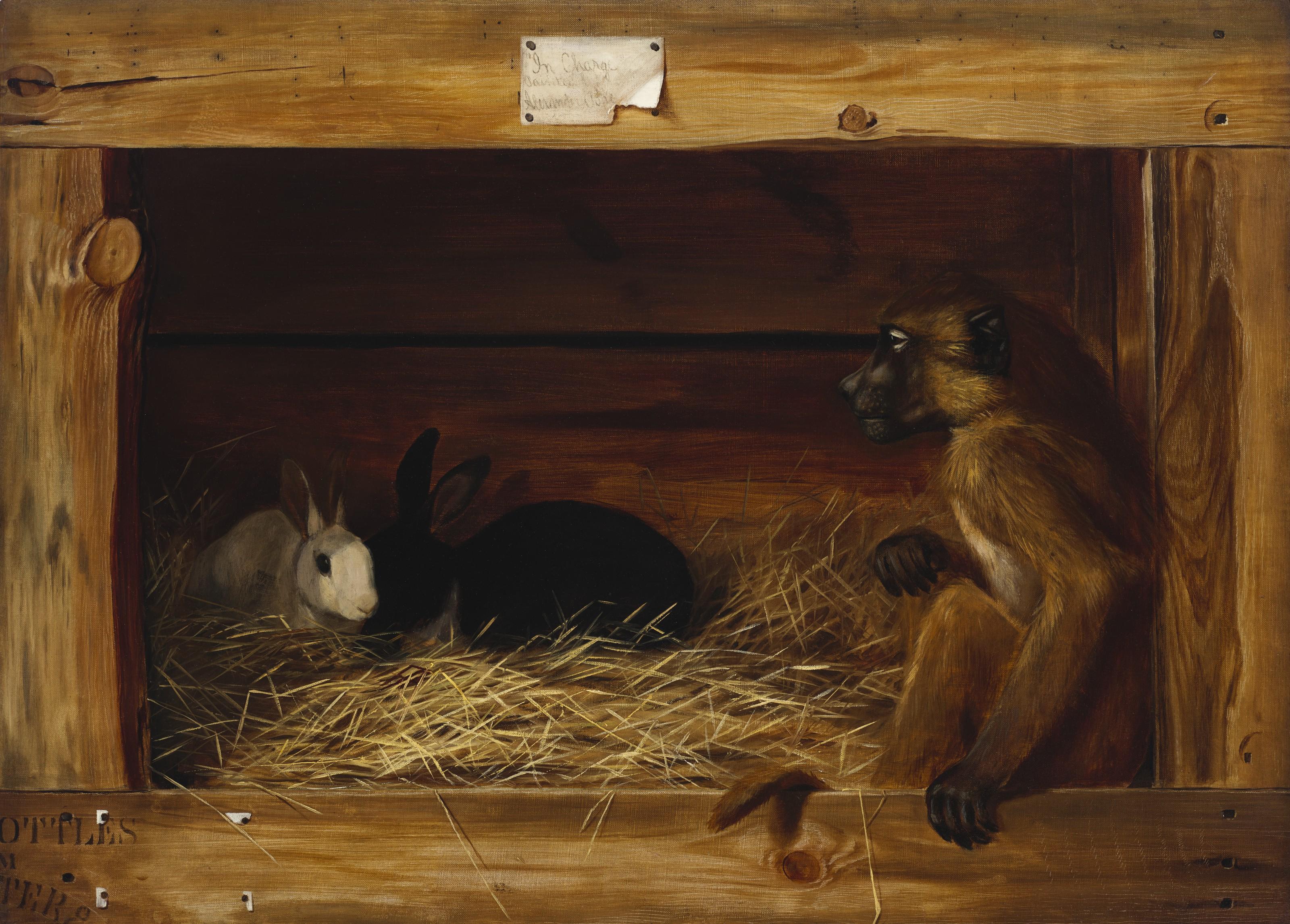 Alexander Pope - In Charge