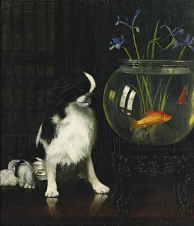Alexander Pope - Japanese Chin And Goldfish