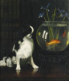 Alexander Pope - Japanese Chin And Goldfish
