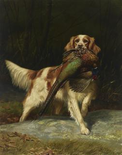 Alexander Pope - Springer Spaniel with Pheasant