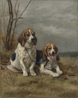 Alexander Pope - Two Hounds