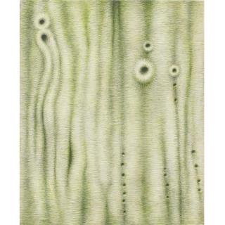 Alexander Ross - Untitled