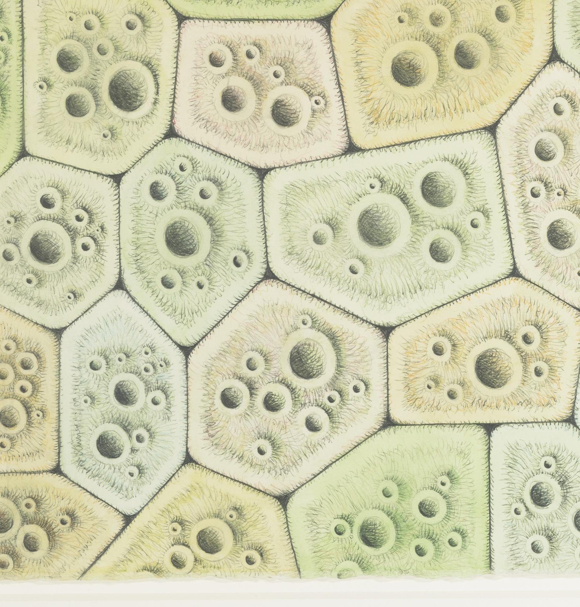 Alexander Ross - Untitled