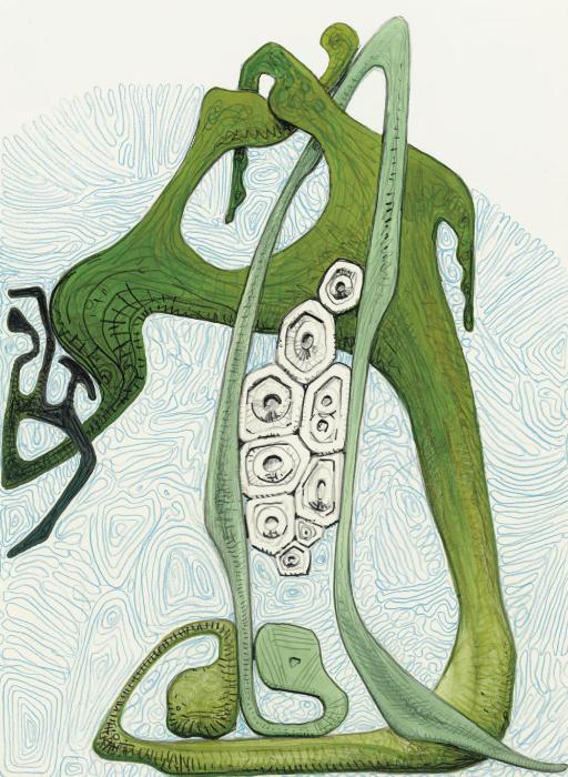 Alexander Ross - Untitled