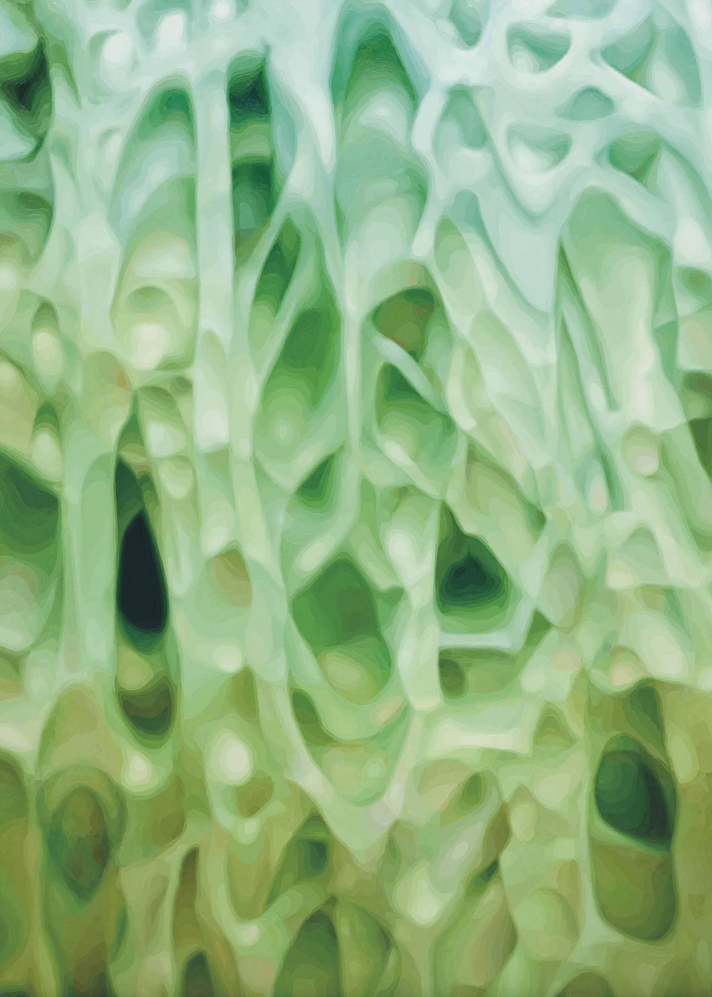 Alexander Ross - Untitled