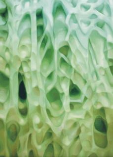 Alexander Ross - Untitled