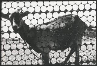 Alexander Sliusarev - Five Untitled Works.